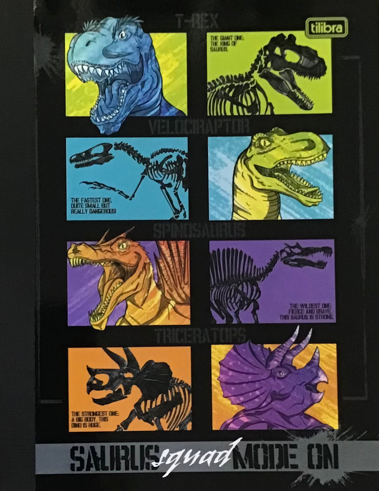 TILIBRA LIBRETA REGULAR RAPTOR ASSORTED