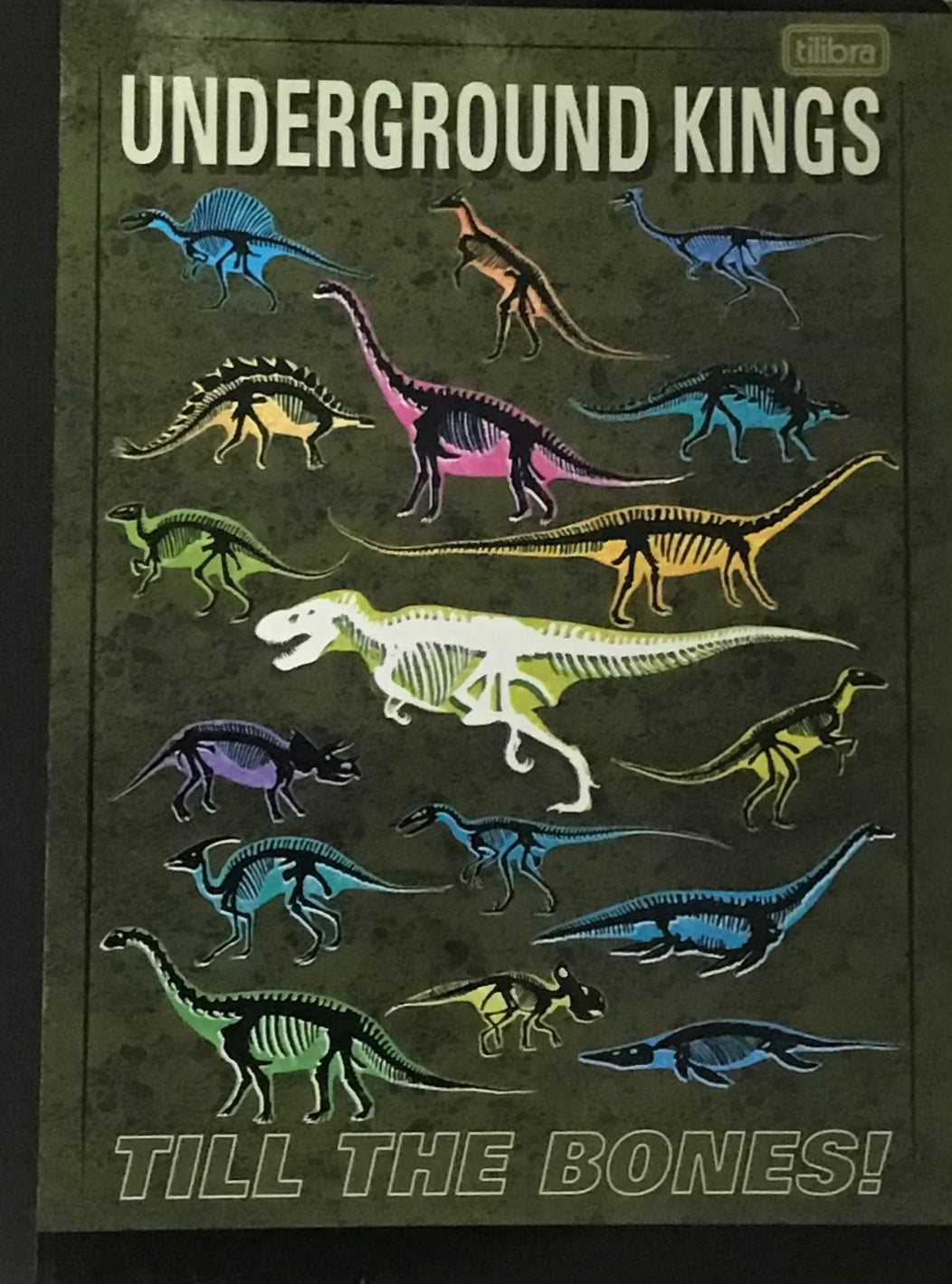 TILIBRA LIBRETA REGULAR RAPTOR ASSORTED